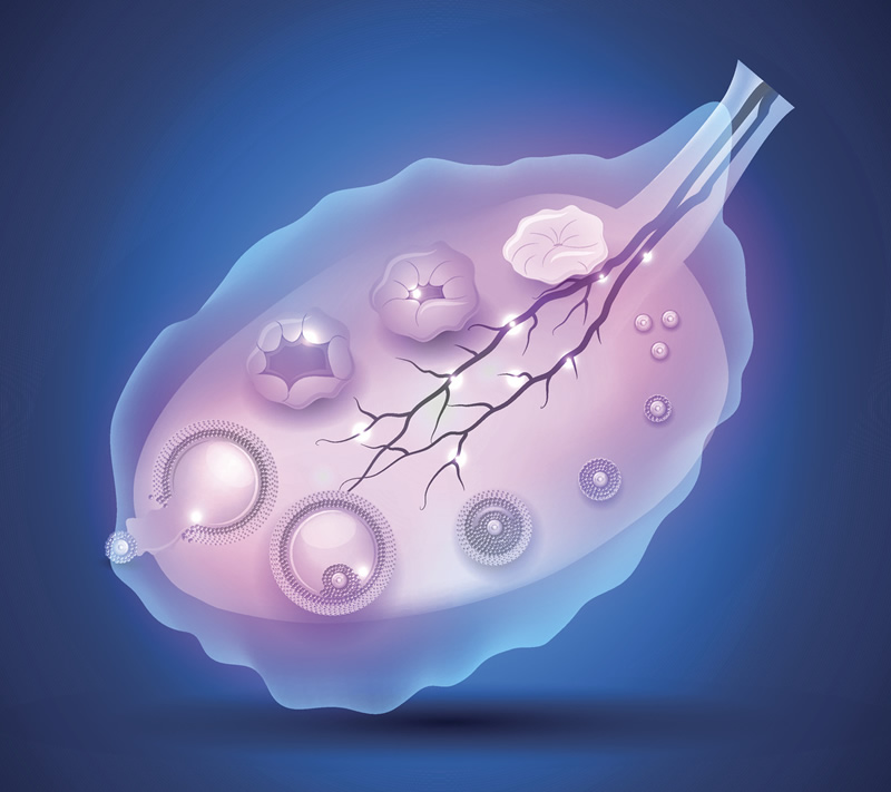 2026年南京试管婴儿医院排名与费用全解析：鼓楼医院、江苏省人民医院等机构领跑，附新价格收费标准参考